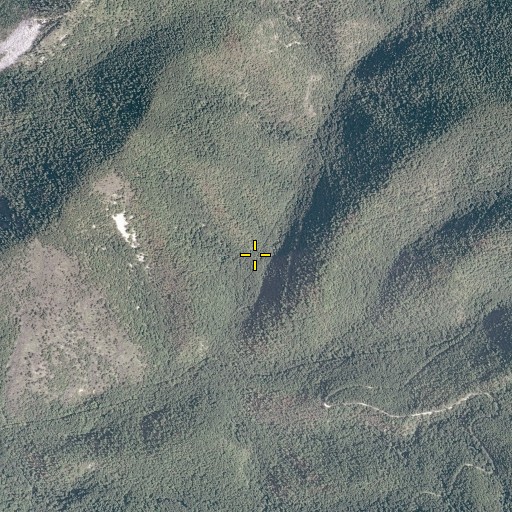 Aerial/Satellite Image of Sulphur Spring, VA
