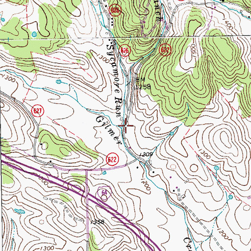Topographic Map of Sycamore Run, VA