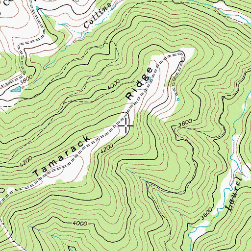 Topographic Map of Tamarack Ridge, VA