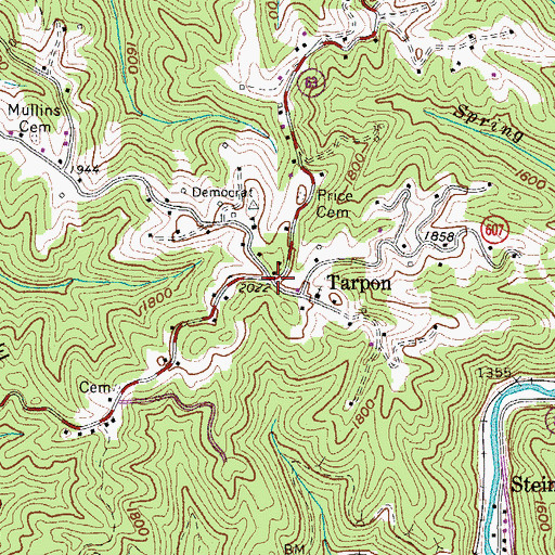 Topographic Map of Tarpon, VA