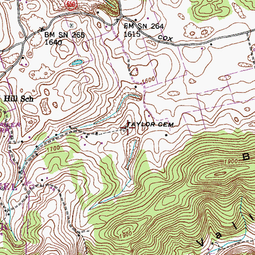 Topographic Map of Taylor Cemetery, VA