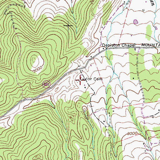 Topographic Map of Taylor Cemetery, VA