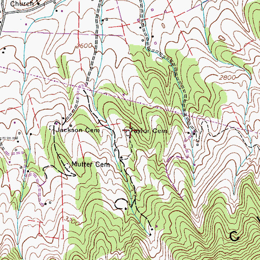 Topographic Map of Taylor Cemetery, VA