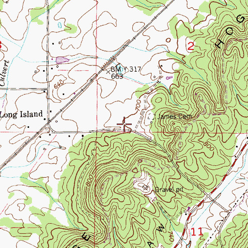 Topographic Map of Long Island School (historical), AL