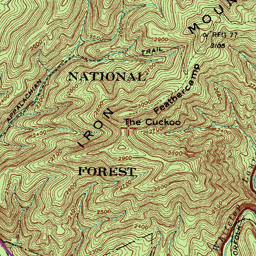 Topographic Map of The Cuckoo, VA