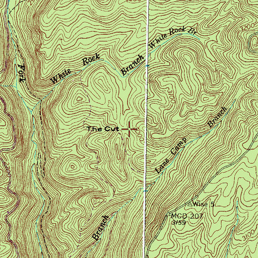 Topographic Map of The Cut, VA
