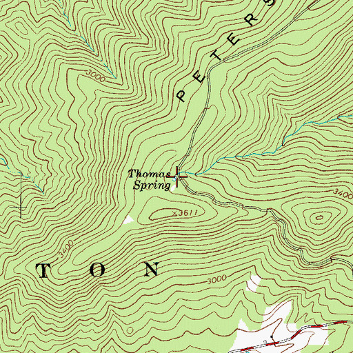 Topographic Map of Thomas Spring, VA