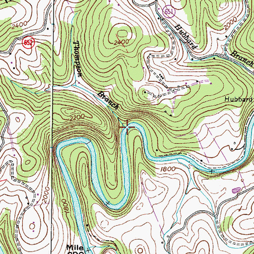 Topographic Map of Thompson Branch, VA