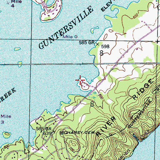 Topographic Map of Fort Payne Boating Club, AL