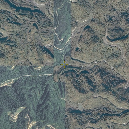 Aerial/Satellite Image of Tilley Branch, VA
