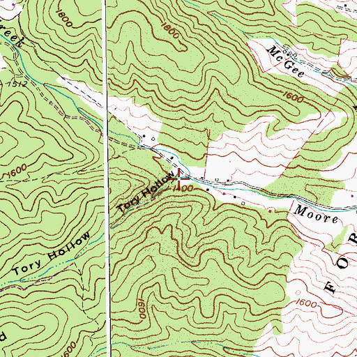 Topographic Map of Tory Hollow, VA