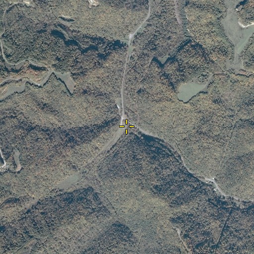 Aerial/Satellite Image of Trace Fork, VA