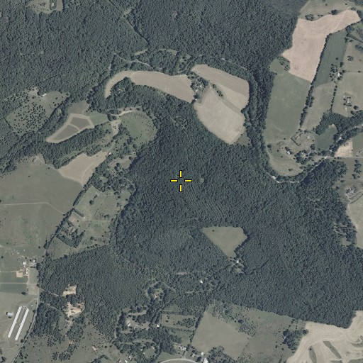 Aerial/Satellite Image of Trinity Point, VA