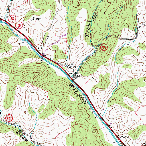 Topographic Map of Trout Branch, VA
