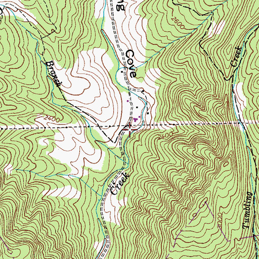 Topographic Map of Tumbling Cove, VA