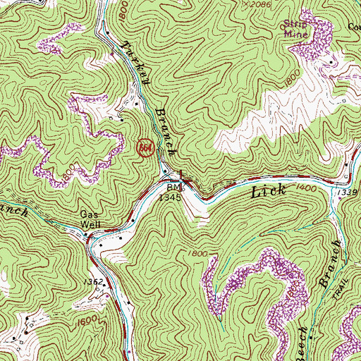 Topographic Map of Turkey Branch, VA