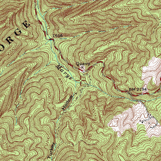 Topographic Map of Turkey Hollow, VA