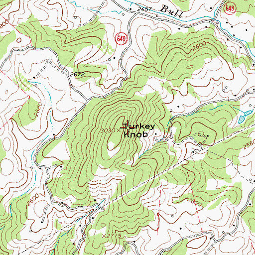 Topographic Map of Turkey Knob, VA