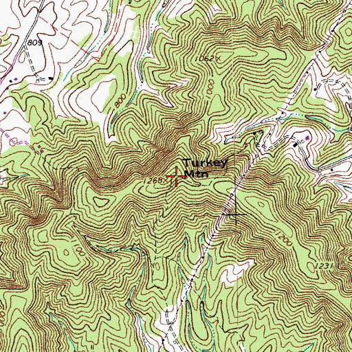 Topographic Map of Turkey Mountain, VA