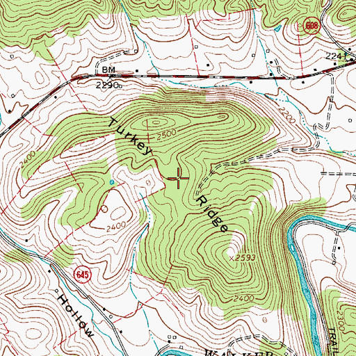 Topographic Map of Turkey Ridge, VA