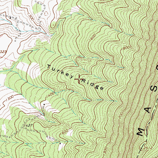 Topographic Map of Turkey Ridge, VA