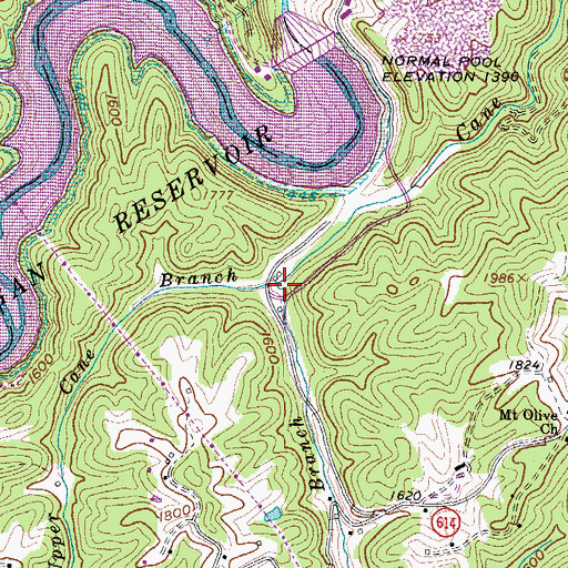 Topographic Map of Upper Cane Branch, VA