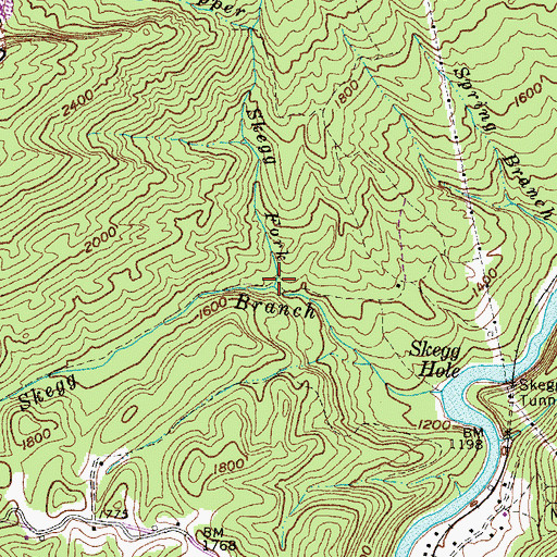 Topographic Map of Upper Skegg Fork, VA
