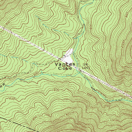 Topographic Map of Vances Cove, VA