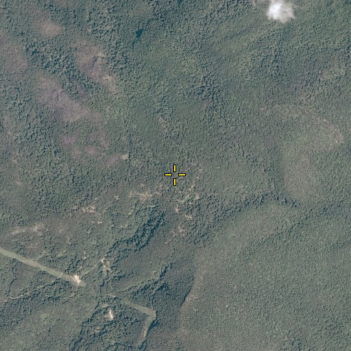 Aerial/Satellite Image of Waits Mountain, VA