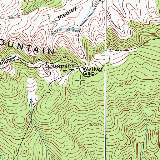 Topographic Map of Walker Gap, VA