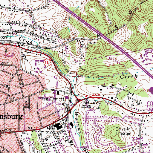 Topographic Map of Walnut Branch, VA