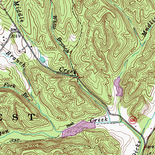 Topographic Map of White Branch, VA