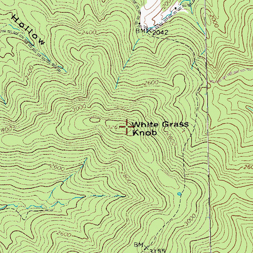 Topographic Map of White Grass Knob, VA