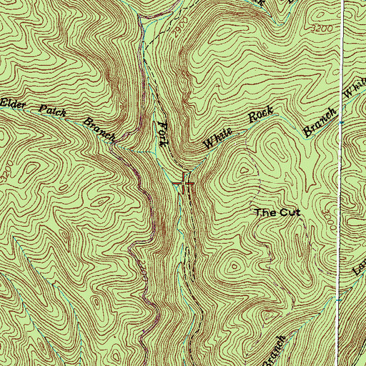 Topographic Map of White Rock Branch, VA