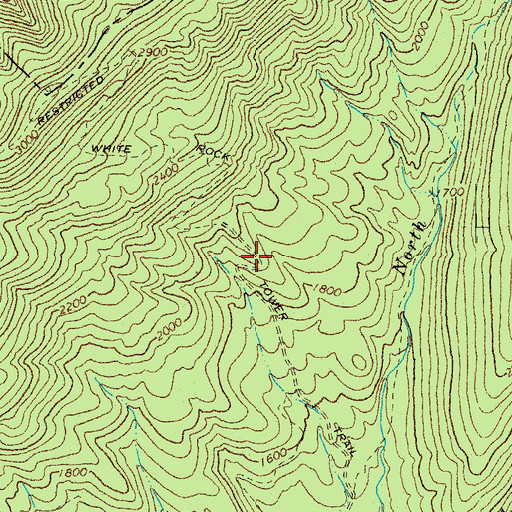 Topographic Map of White Rock Tower Trail, VA