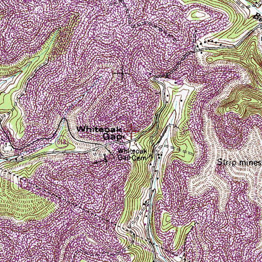 Topographic Map of Whiteoak Gap, VA