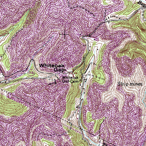 Topographic Map of Whiteoak Gap Cemetery, VA
