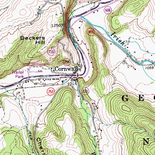 Topographic Map of Whites Run, VA