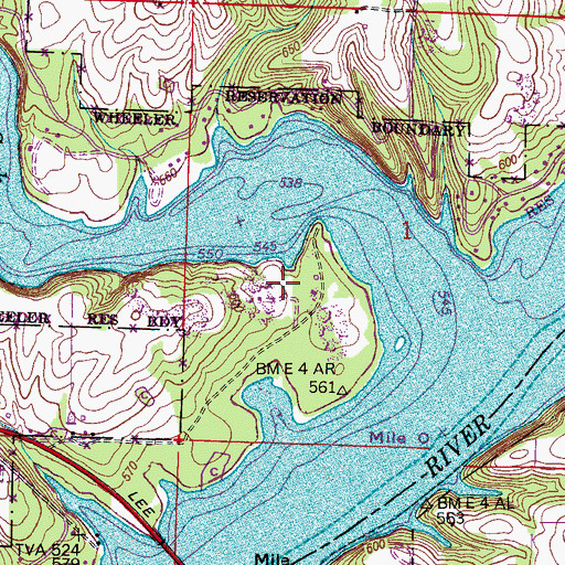 Topographic Map of Camp Anderel, AL