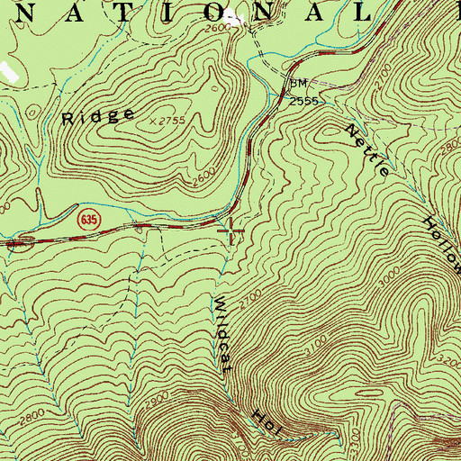 Topographic Map of Wildcat Hollow, VA
