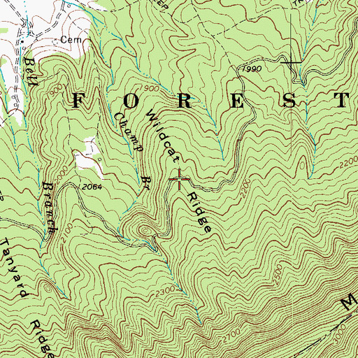 Topographic Map of Wildcat Ridge, VA