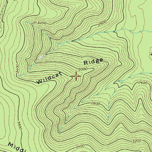 Topographic Map of Wildcat Ridge, VA