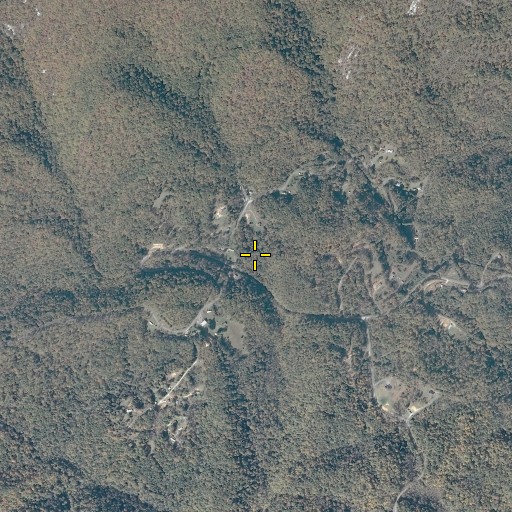 Aerial/Satellite Image of Willis Branch, VA