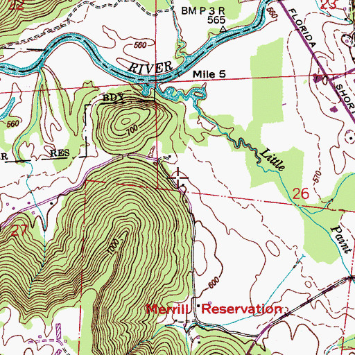 Topographic Map of Ferguson Spring, AL