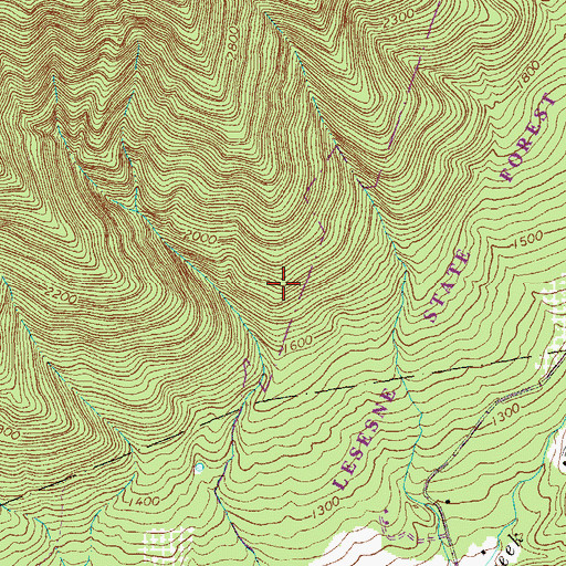 Topographic Map of Lesesne State Forest, VA