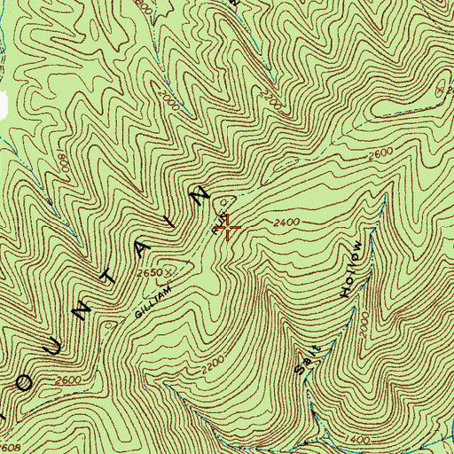 Topographic Map of Gilliam Run Trail, VA