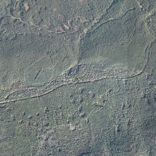 Aerial/Satellite Image of Mud Branch, VA