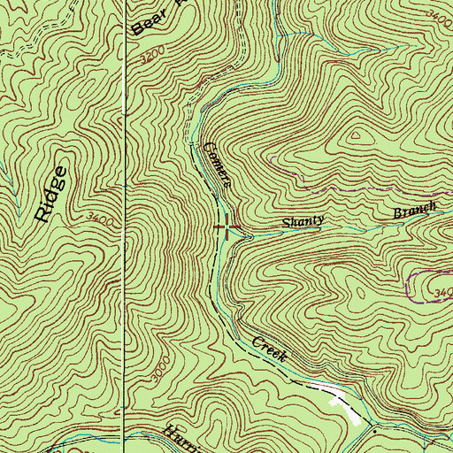 Topographic Map of Shanty Branch, VA