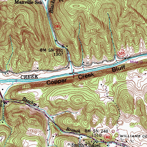 Topographic Map of Blackoak Branch, VA