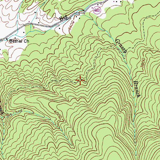 Topographic Map of Grassy Branch Trail, VA
